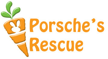 Porsche's Rescue Online Store